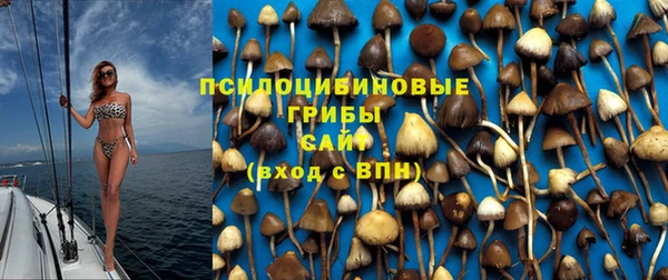 прущая мука Зеленокумск