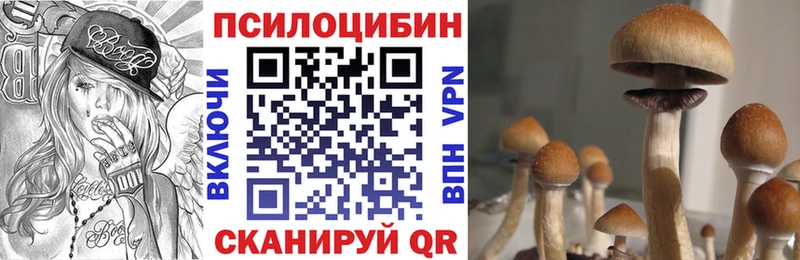 Галлюциногенные грибы мицелий  Сорск 